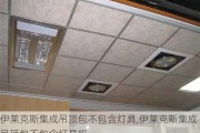 伊莱克斯集成吊顶包不包含灯具,伊莱克斯集成吊顶包不包含灯具吗