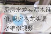 厨房水龙头漏水维修,厨房水龙头漏水维修视频