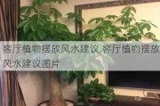 客厅植物摆放风水建议,客厅植物摆放风水建议图片