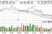 
概念震荡走低 ，银泰黄金、玉龙股份跌超4%