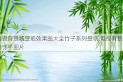 电视背景墙壁纸效果图大全竹子系列壁纸,电视背景墙竹子图片