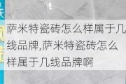 萨米特瓷砖怎么样属于几线品牌,萨米特瓷砖怎么样属于几线品牌啊