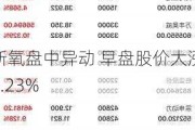 新氧盘中异动 早盘股价大涨5.23%