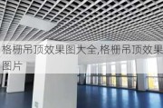 格栅吊顶效果图大全,格栅吊顶效果图片