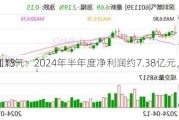 深圳燃气：2024年半年度净利润约7.38亿元，同
增加13.
%