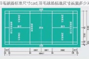 羽毛球场标准尺寸cad,羽毛球场标准尺寸长宽多少米