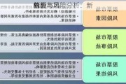 新股市场
机会与风险分析：新
的
分析