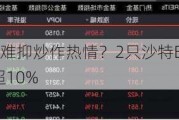 临停“警示”难抑炒作热情？2只沙特ETF复牌后拉升，溢价率仍超10%