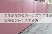 卫生间隔断板叫什么名字,卫生间隔断板叫什么名字好听