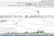 腾龙股份(603158.SH)：累计耗资4070.55万元回购1.08%股份