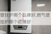 壁挂炉哪个品牌好,燃气壁挂炉哪个品牌好