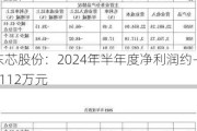 东芯股份：2024年半年度净利润约-9112万元