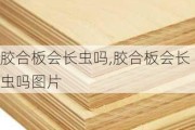 胶合板会长虫吗,胶合板会长虫吗图片