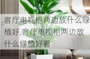 客厅电视柜两边放什么绿植好,客厅电视柜两边放什么绿植好看