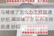 马桶堵了怎么办怎样疏通 妙招,蹲厕堵了怎么办怎样疏通 妙招