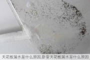 天花板漏水是什么原因,卧室天花板漏水是什么原因