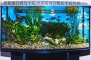 水族箱排行榜前十名,水族箱排行榜前十名品牌