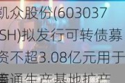 凯众股份(603037.SH)拟发行可转债募资不超3.08亿元用于南通生产基地扩产
等