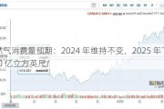 
天然气消费量预期：2024 年维持不变，2025 年下调至 890 亿立方英尺/
