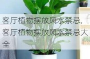 客厅植物摆放风水禁忌,客厅植物摆放风水禁忌大全