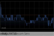 
电讯-SS拟
Regional Link Telecom Serv
s Holdings的权益