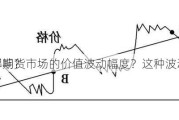 如何了解期货市场的价值波动幅度？这种波动对
者有何影响？