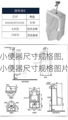 小便器尺寸规格图,小便器尺寸规格图片