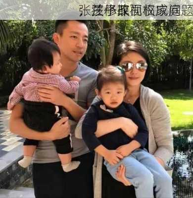 张兰修改
：汪小菲面临家庭
，孩子探视权成问题