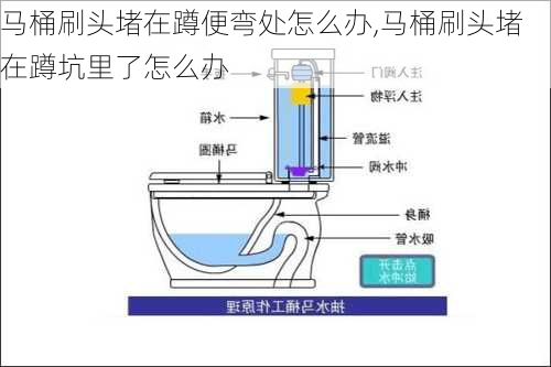 马桶刷头堵在蹲便弯处怎么办,马桶刷头堵在蹲坑里了怎么办