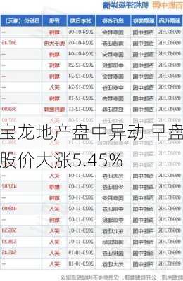 宝龙地产盘中异动 早盘股价大涨5.45%