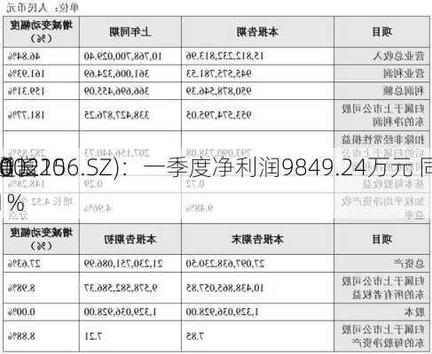 通富
(002156.SZ)：一季度净利润9849.24万元 同
增长20
.01%