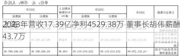 上海
2023年营收17.39亿净利4529.38万 董事长胡伟薪酬43.7万