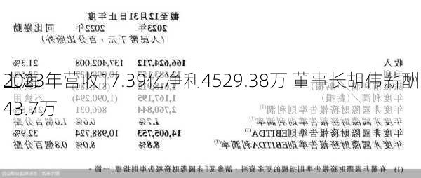 上海
2023年营收17.39亿净利4529.38万 董事长胡伟薪酬43.7万