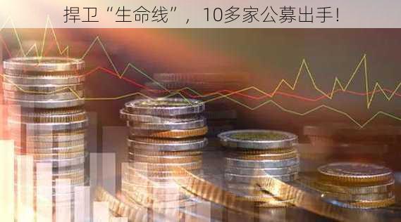 捍卫“生命线”，10多家公募出手！