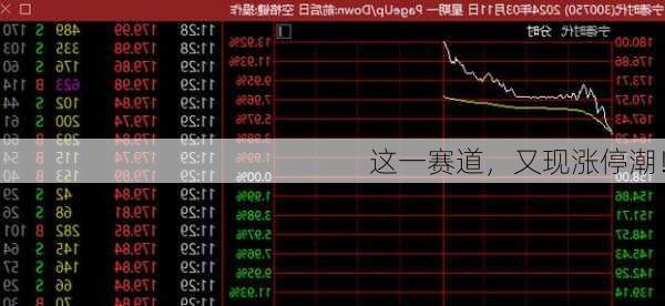 这一赛道，又现涨停潮！