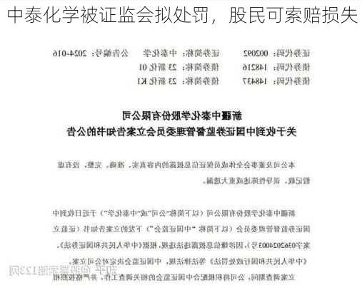 中泰化学被证监会拟处罚，股民可索赔损失