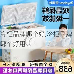 冷柜品牌哪个好,冷柜品牌哪个好用