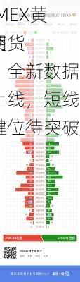 COMEX黄金期货
成交量：全新数据库上线，短线关键位待突破