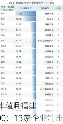 2024年4月福建
企业市值TOP100：13家企业冲击
