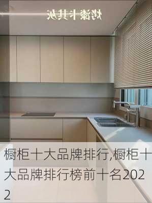 橱柜十大品牌排行,橱柜十大品牌排行榜前十名2022