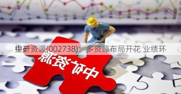 中矿资源(002738)：多资源布局开花 业绩环
提升