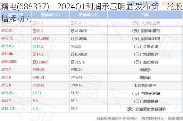 普源精电(688337)：2024Q1利润承压明显 发布新一轮股权激励为
发展增添动力