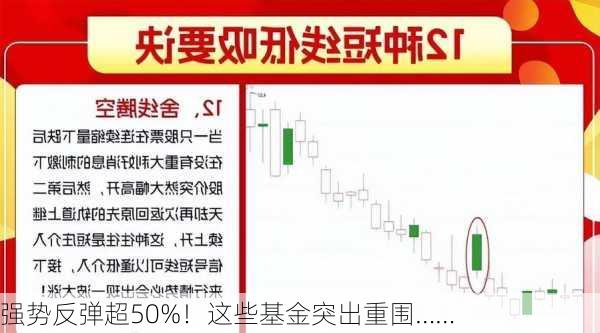 强势反弹超50%！这些基金突出重围……