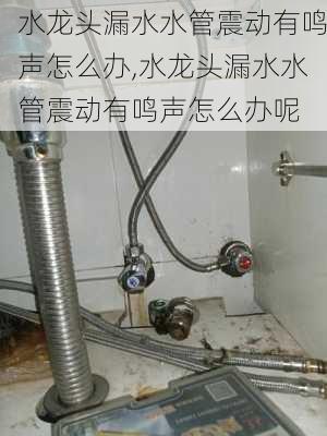 水龙头漏水水管震动有鸣声怎么办,水龙头漏水水管震动有鸣声怎么办呢