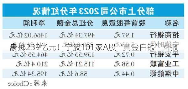 豪掷239亿元！宁波101家A股“真金白银”回报
者