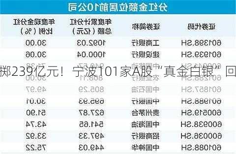 豪掷239亿元！宁波101家A股“真金白银”回报
者