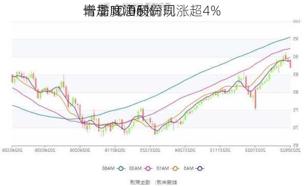 青岛啤酒股份现涨超4% 
一季度净利润同
增加10.06%