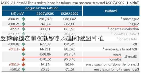 全球食糖产量创新高：泰国和欧盟种植
反弹导致过剩400万吨，糖价承压