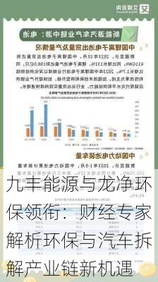 九丰能源与龙净环保领衔：财经专家解析环保与汽车拆解产业链新机遇