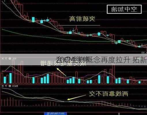 合成生物概念再度拉升 拓新
20CM涨停